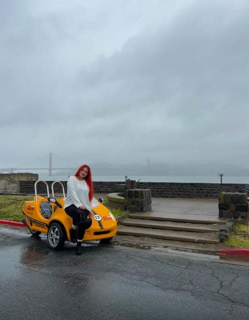 undefined Gallery Image 4