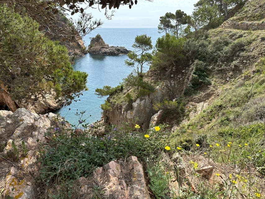 undefined Gallery Image 4