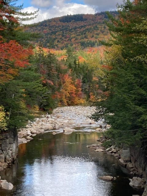 undefined Gallery Image 1