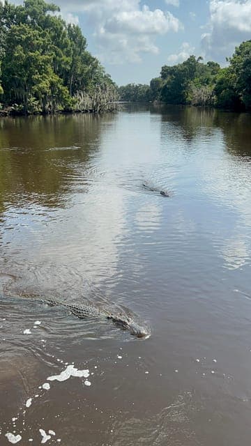 undefined Gallery Image 4