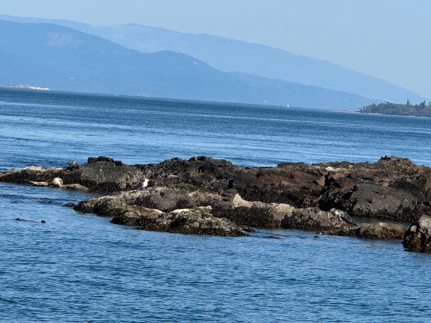 undefined Gallery Image 3