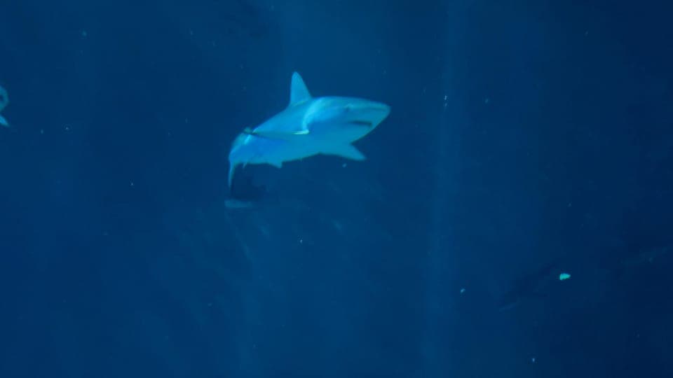 undefined Gallery Image 3