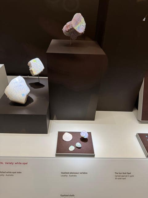 undefined Gallery Image 3