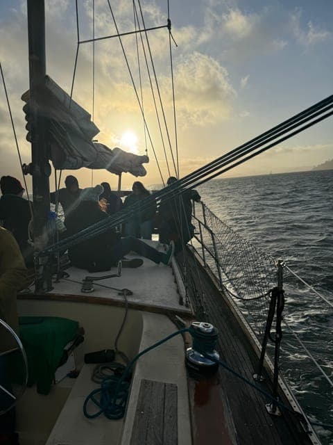 undefined Gallery Image 3