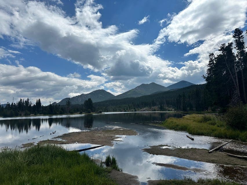 undefined Gallery Image 4