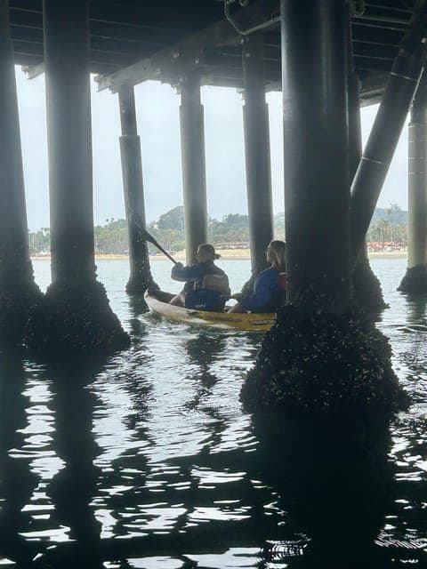 undefined Gallery Image 2