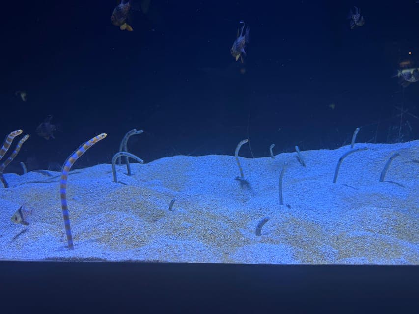 undefined Gallery Image 2