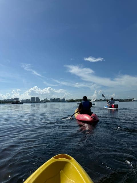 undefined Gallery Image 4