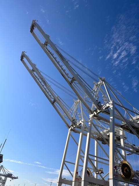 undefined Gallery Image 1