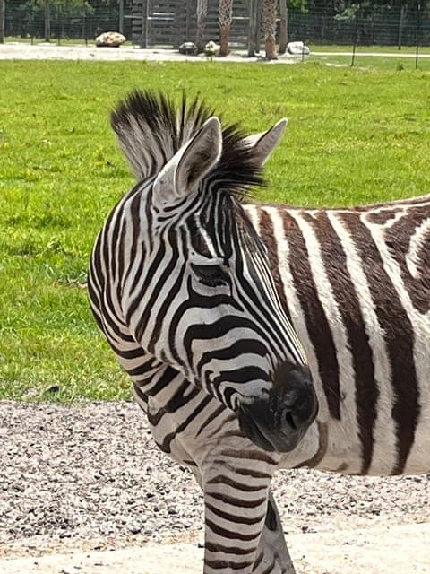 undefined Gallery Image 3