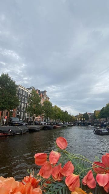 undefined Gallery Image 4