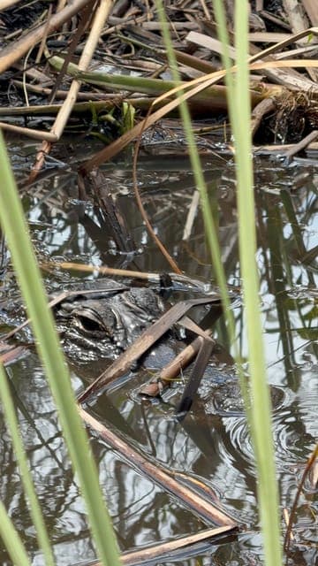 undefined Gallery Image 1