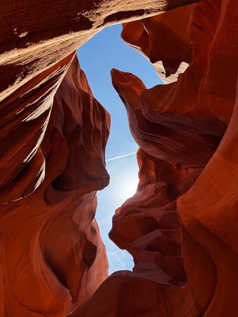 undefined Gallery Image 4