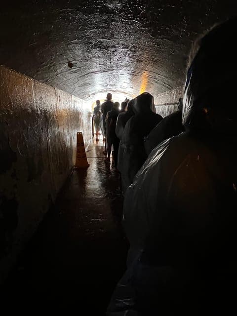 undefined Gallery Image 3