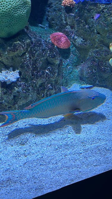 undefined Gallery Image 2