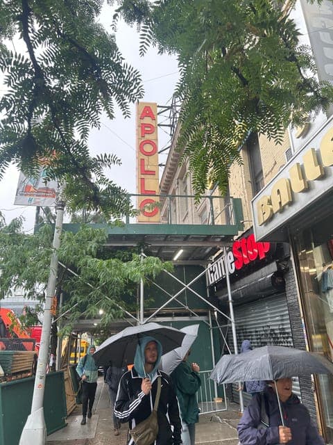 undefined Gallery Image 2