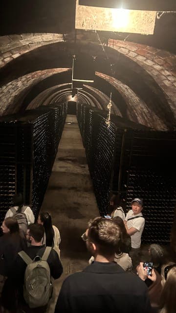 undefined Gallery Image 4