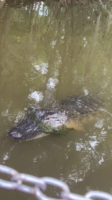 undefined Gallery Image 1