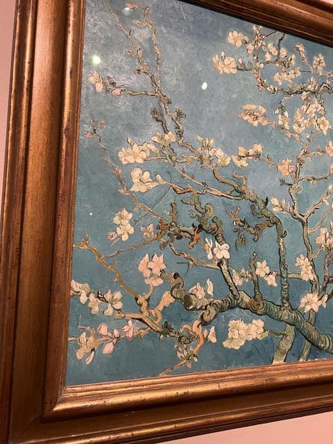 undefined Gallery Image 3