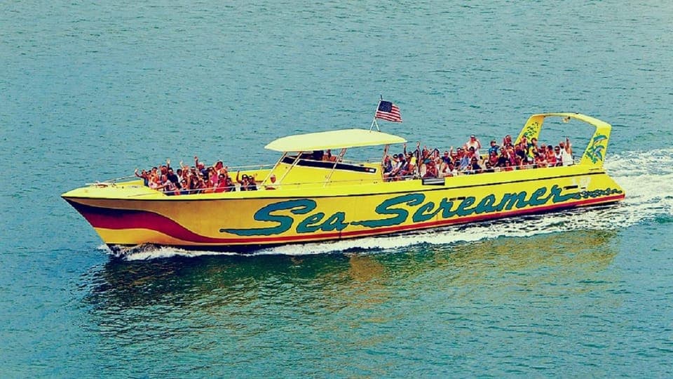 Small Group Clearwater Beach,Dolphin Watch Tour from Orlando Gallery Image 3