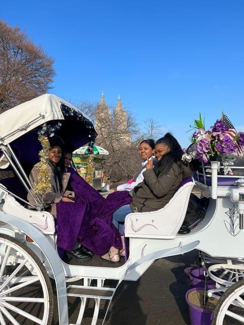Private Central Park Horse Carriage Ride with Guide Gallery Image 4