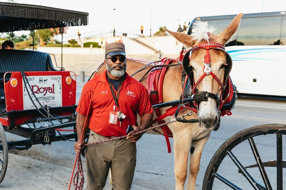 French Quarter Sightseeing Carriage Ride Gallery Image 1