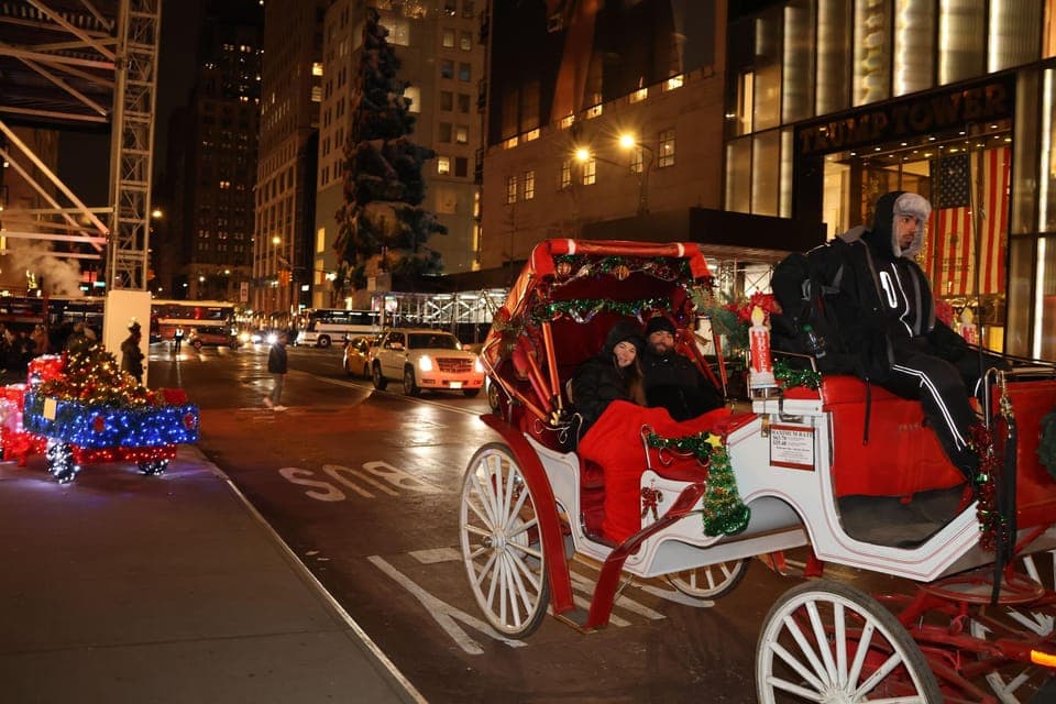 Magical Christmas Lights Carriage Ride Gallery Image 4