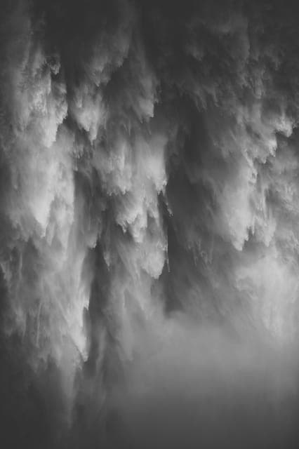 37. Snoqualmie, Twin Falls & Ancient Forest (Transport Included) - Image 37