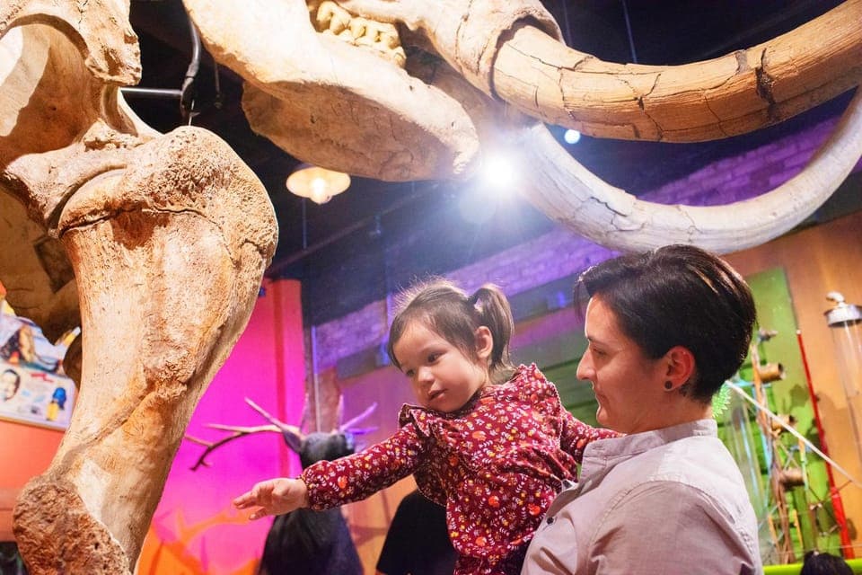 Ripley's Believe It or Not! 4 Attraction Ticket Gallery Image 2