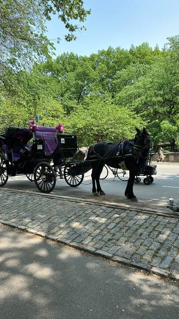 Empire State Horses Carriage Ride in Central Park - Image 1