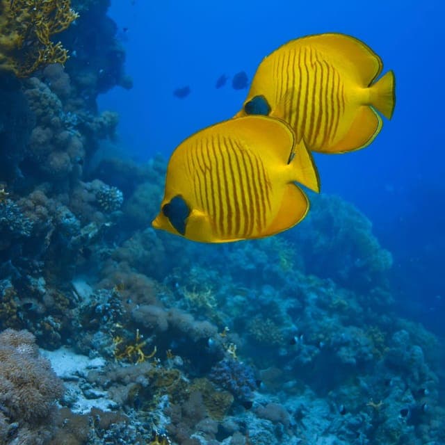 Cancun: 52-Foot Yacht Rental Gallery Image 4