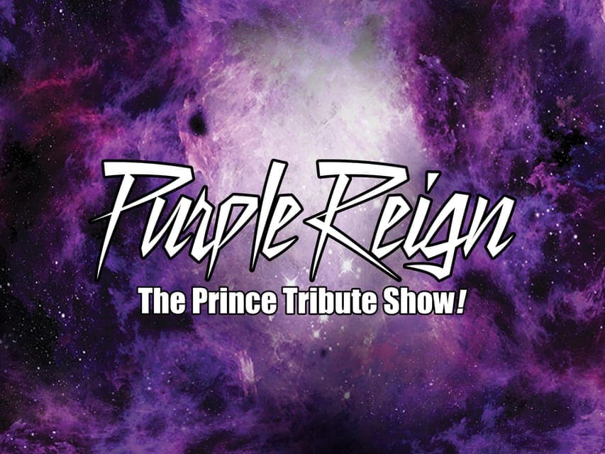 Purple Reign, Ultimate Prince Tribute Show - Image 2