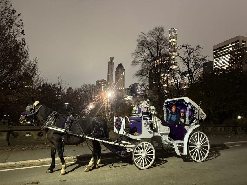 12. Private Christmas Lights Horse Carriage Ride - Image 12