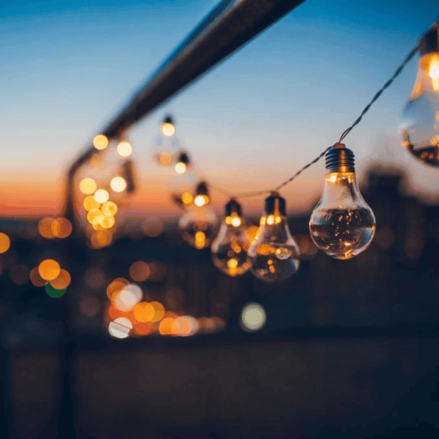 Miami Sunset Champagne Cruise – Top-Rated for Skyline Views Gallery Image 4