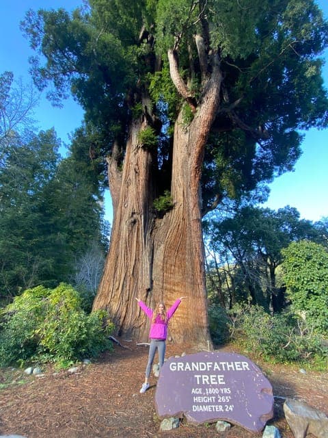 Pacific Coast Highlights Tour: Seattle to San Francisco Gallery Image 4