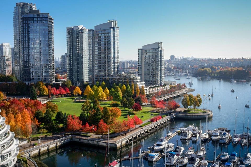 Private City Walking Tour with Seal Boat Tour Gallery Image 4