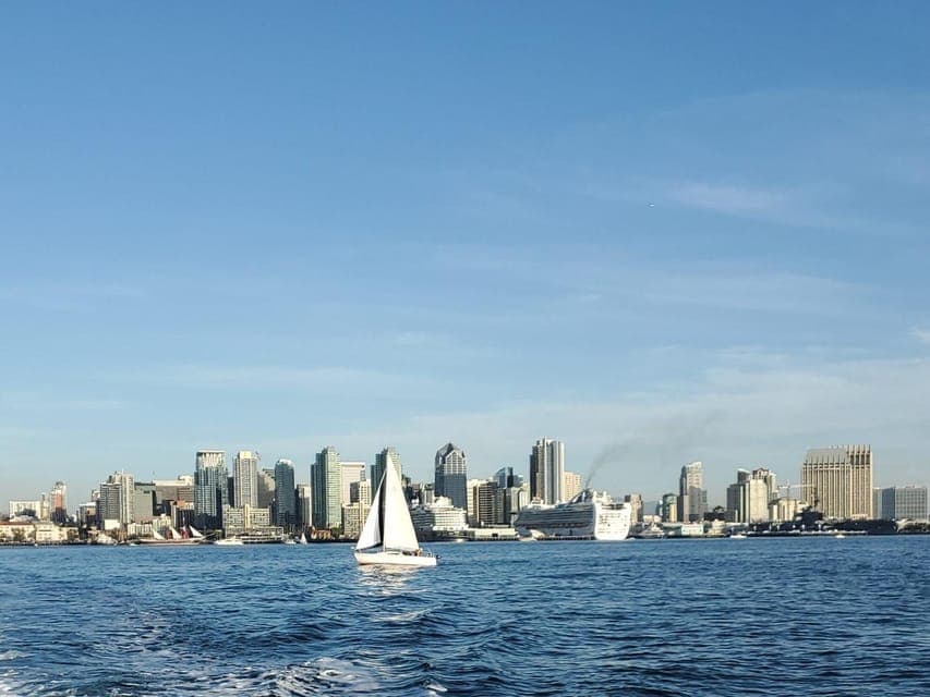 Tiki Live Tour Gallery Image 4