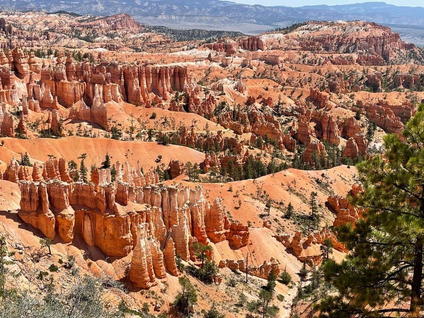 Bryce Canyon & Zion National Park Day Trip Gallery Image 3
