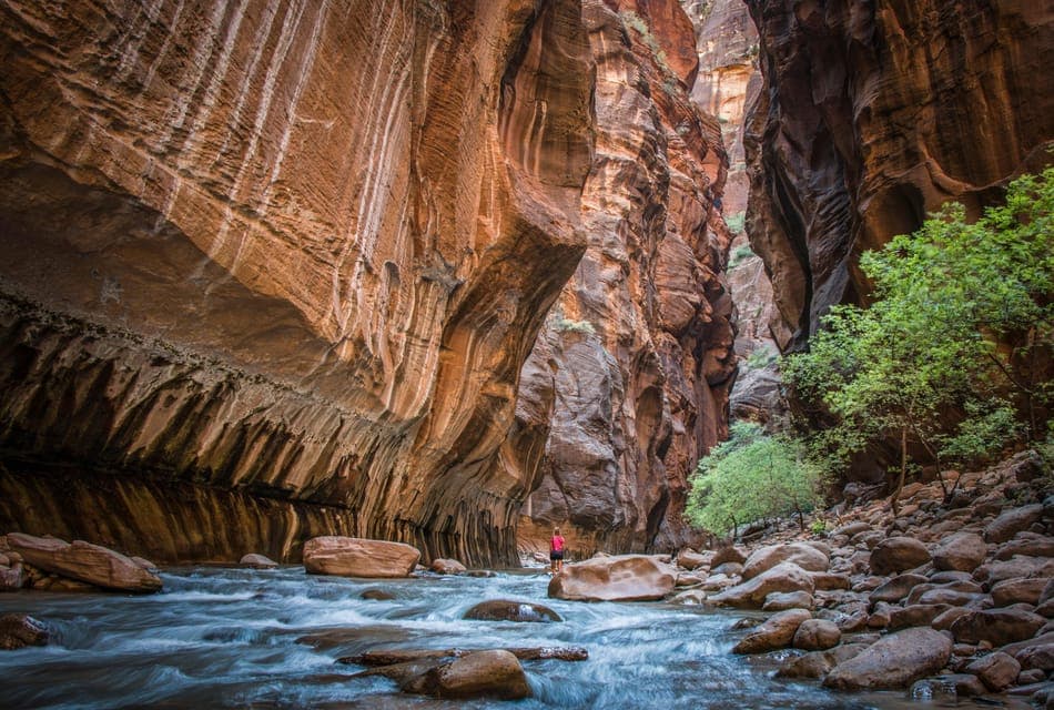 Zion National Park Day Trip Gallery Image 3