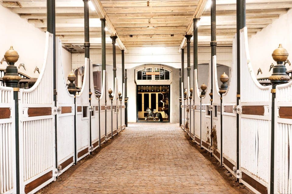 The 'Hollandsche Manege' Stables Entry Ticket Gallery Image 4