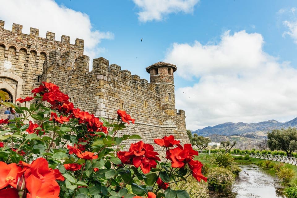 9. Luxury Small-Group Wine Tour of Napa Valley - Image 9