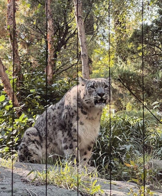 31. Central Park Zoo & Central Park Guided Walking Tour - Image 31