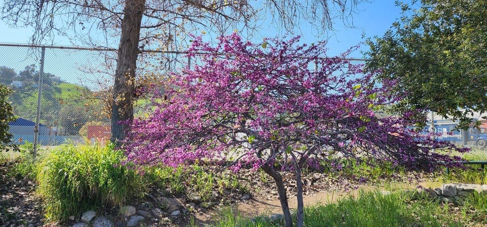 LA River Eco Tour and Secret Stair Hike Gallery Image 2