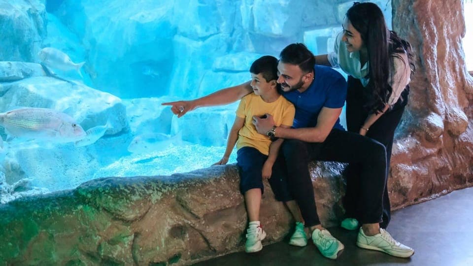 Hop-On Hop-Off Bus & Aquarium Tour Gallery Image 1