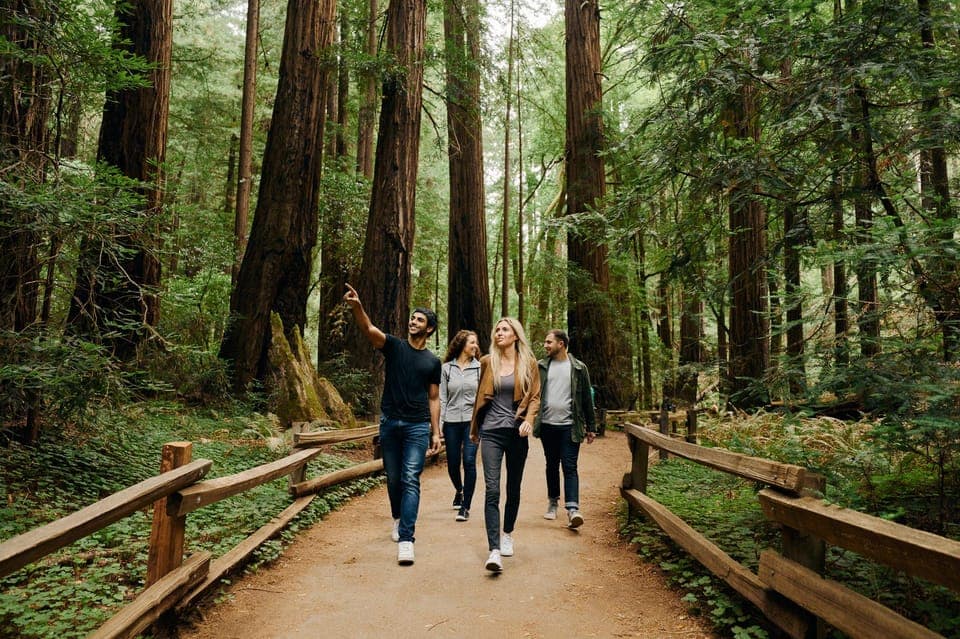 39. Muir Woods & Sausalito Tour w/Alcatraz Option - Image 39