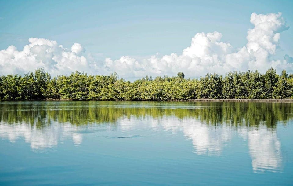 Fort Lauderdale to Islamorada Day Trip Gallery Image 4