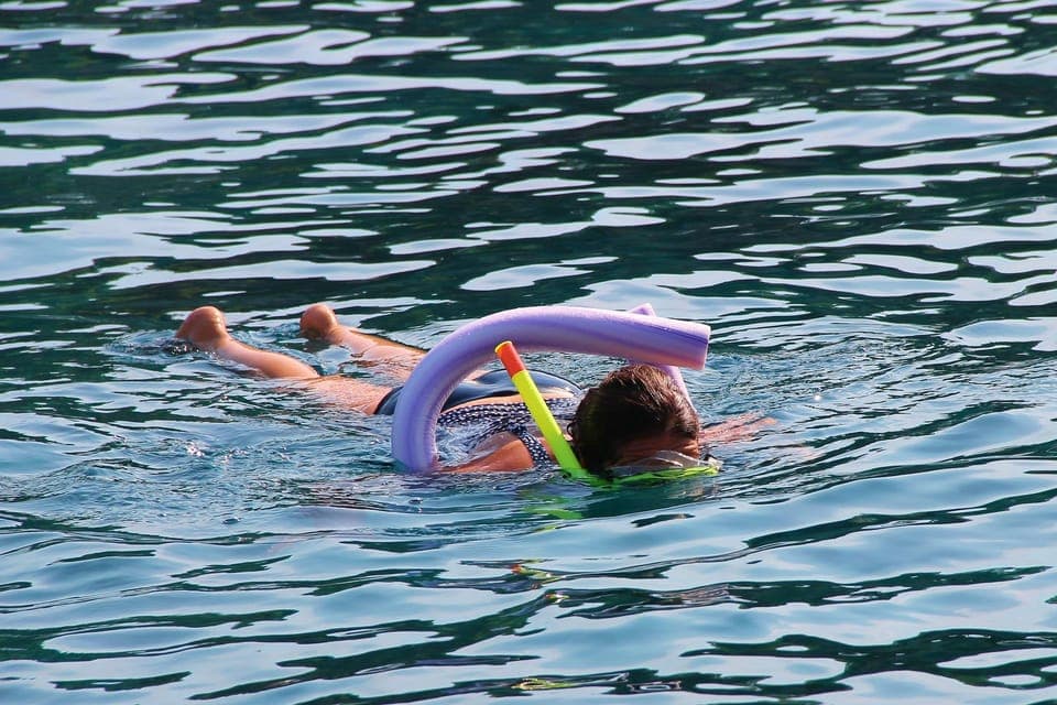 Miami Snorkeling for Beginners from Bayside Market Place Gallery Image 3