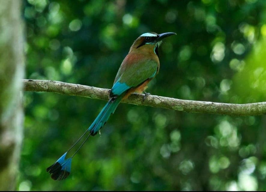 Birds Photography Expedition with Transportation Gallery Image 2