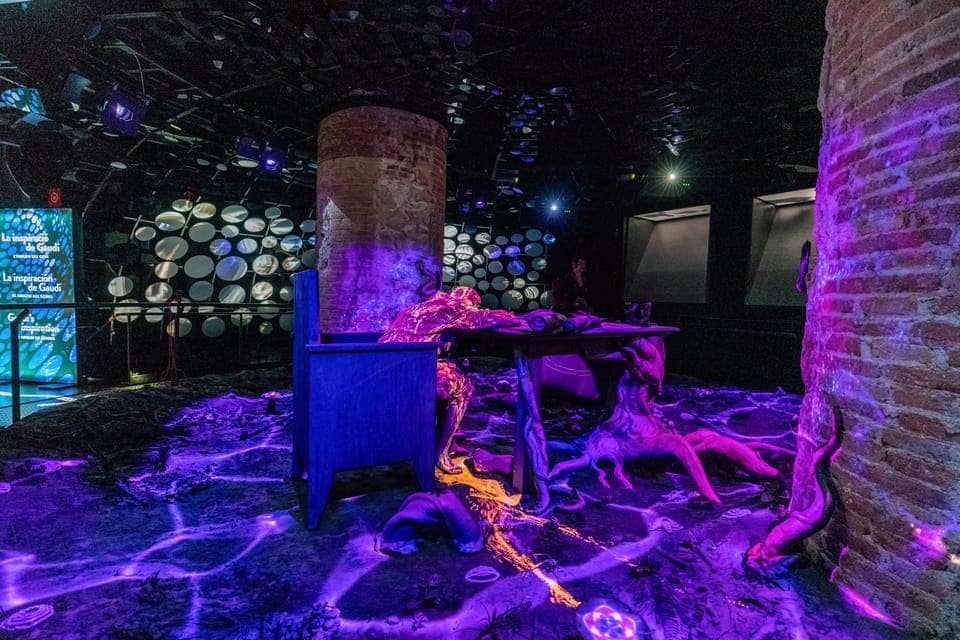 14. Casa Batlló Entry with Self-Audioguide Tour - Image 14