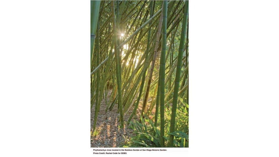 San Diego Botanical Garden Entry Ticket and Transportation Gallery Image 3